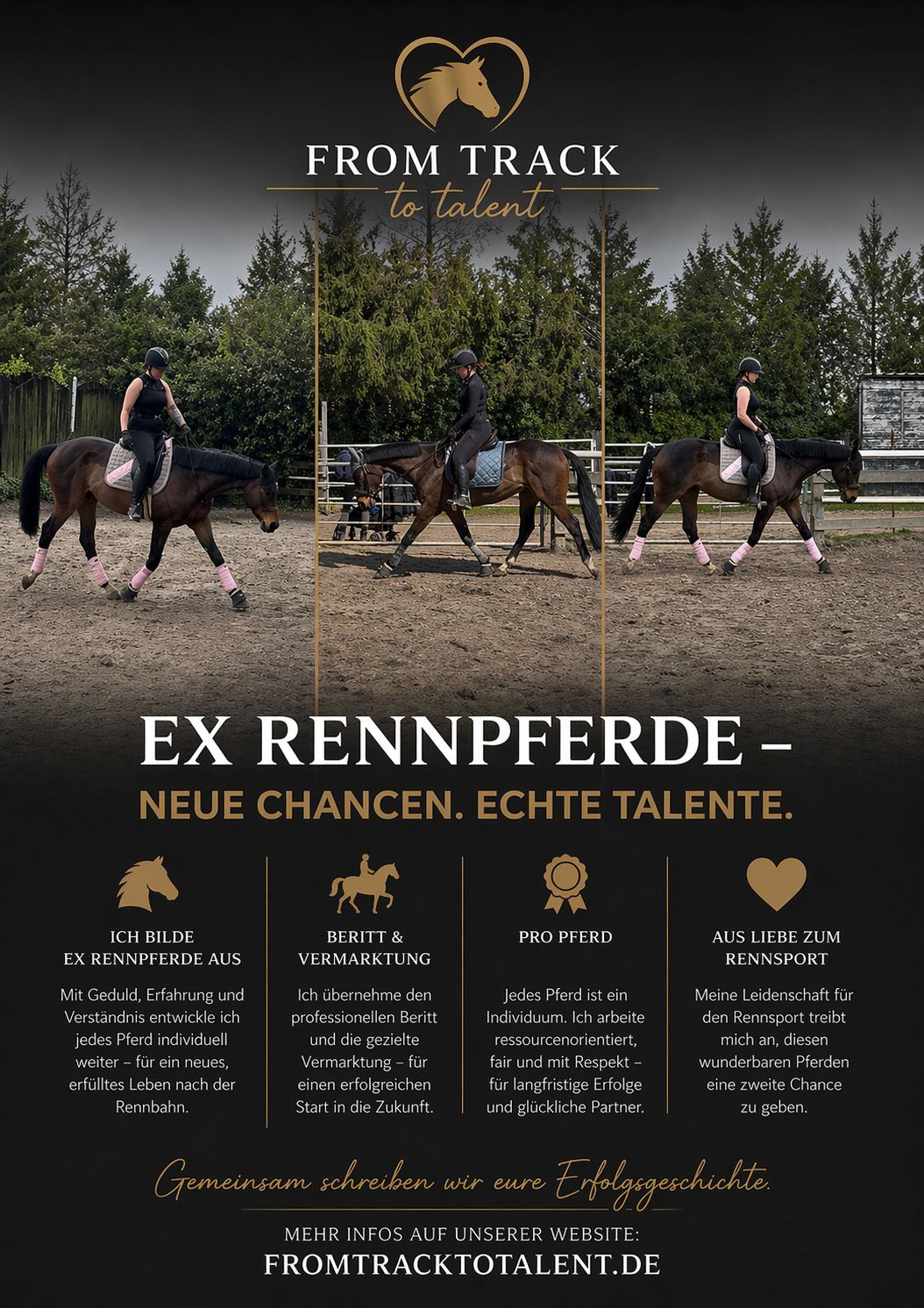 Pferd im Training bei FromTrackToTalent